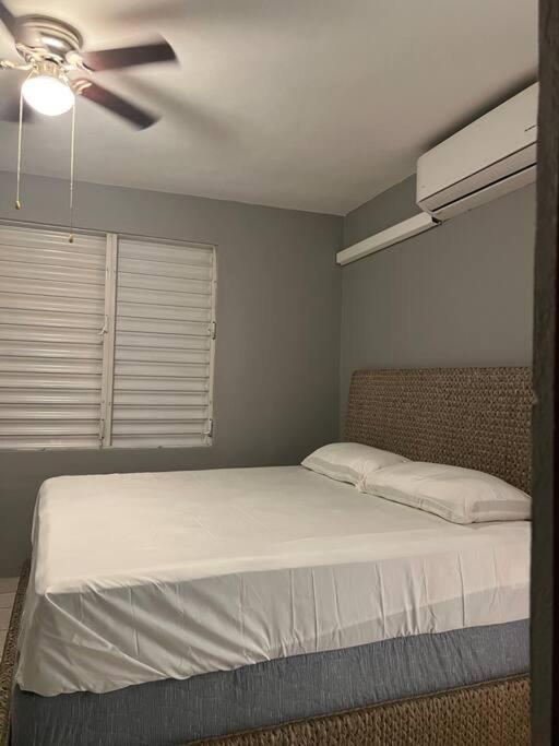 Mayaguez Spacious 3 Bedroom Villa 외부 사진